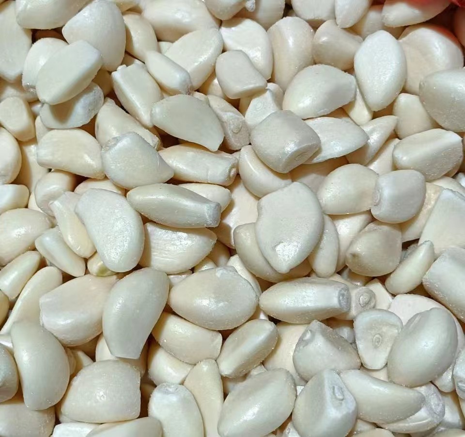 TỎI LỘT VỎ ĐÔNG LẠNH/ FROZEN PEELED GARLIC IQF – VIETFORCE