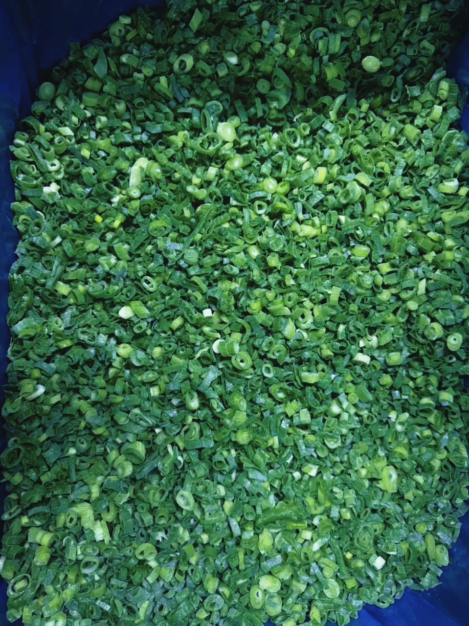 HÀNH LÁ ĐÔNG LẠNH/ FROZEN SPRING ONION