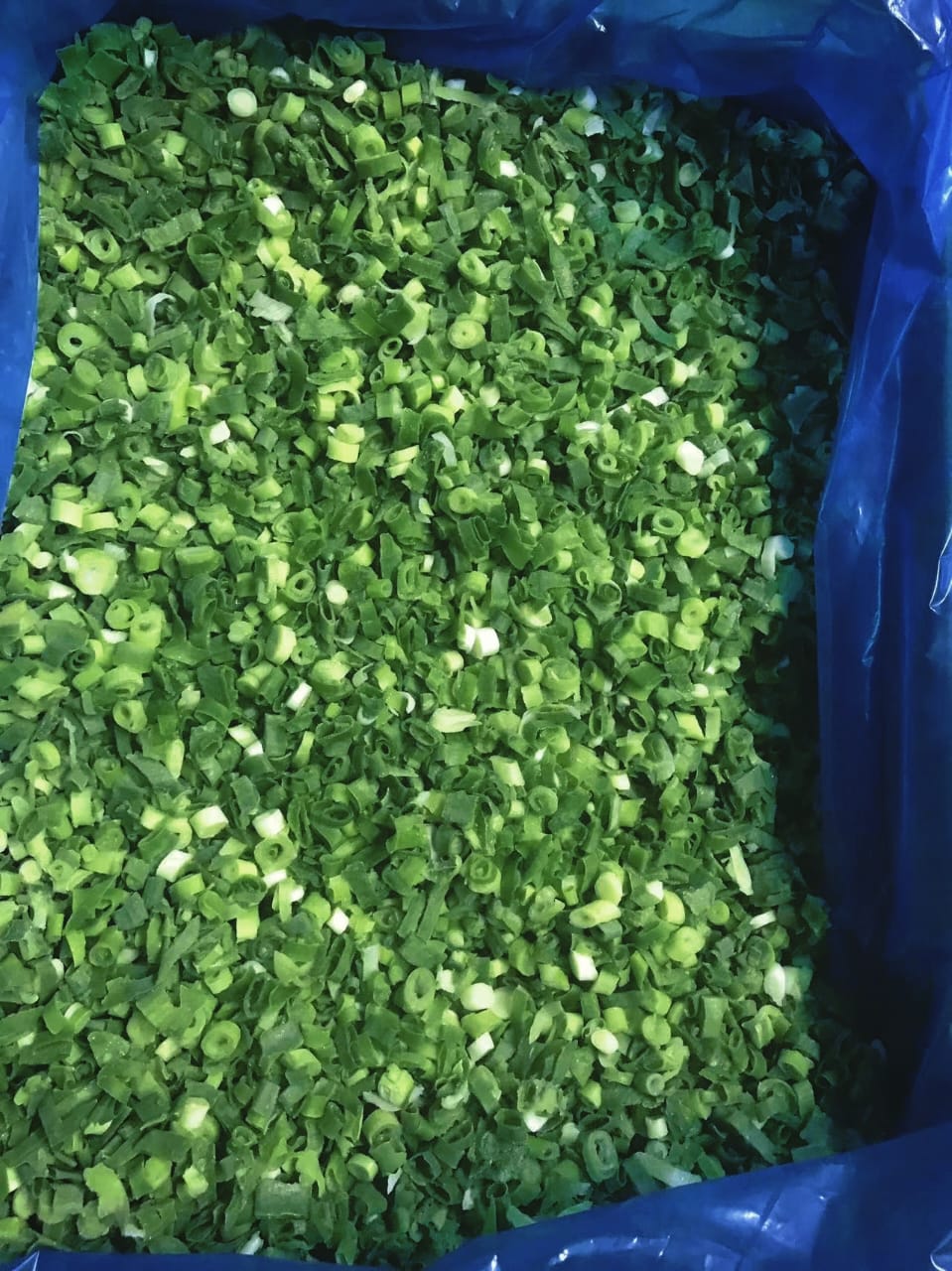 HÀNH LÁ ĐÔNG LẠNH/ FROZEN SPRING ONION