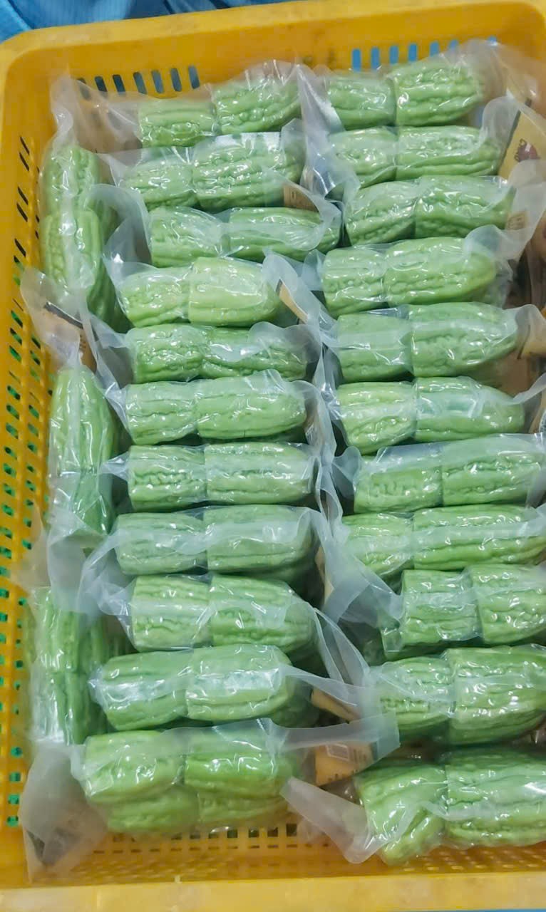 MƯỚP ĐẮNG ĐÔNG LẠNH/ FROZEN BITTER MELON