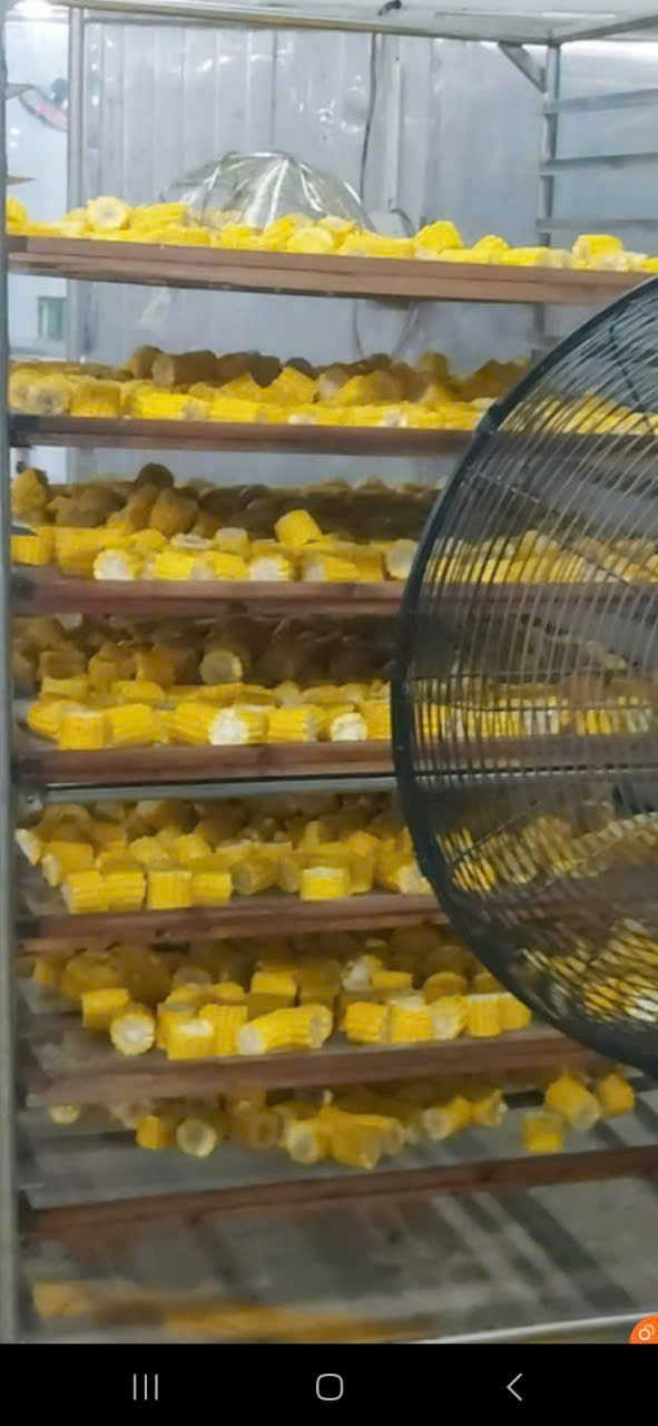 BẮP NGỌT HẤP CẮT KHÚC 3-5CM ĐÔNG LẠNH TÚI 500g/ FROZEN STEAMED SWEET CORN – CUT 3–5 CM