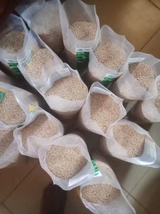 HẠT MÈ TRẮNG / WHITE SESAME SEEDS