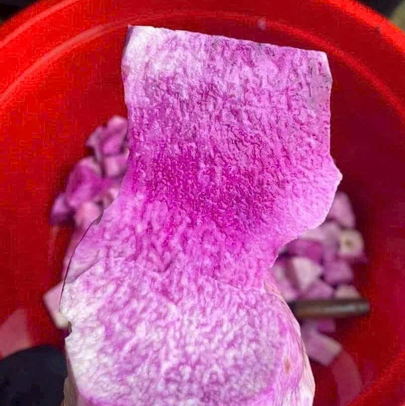KHOAI MỠ TÍM BÀO VỎ ĐÔNG LẠNH/ FROZEN PURPLE YAM (PEELED) – 500G