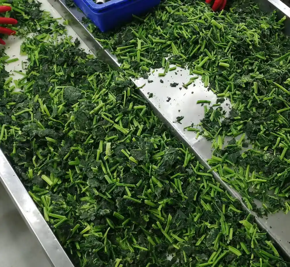 🥬 CẢI BÓ XÔI ĐÔNG LẠNH – FROZEN SPINACH 🥬