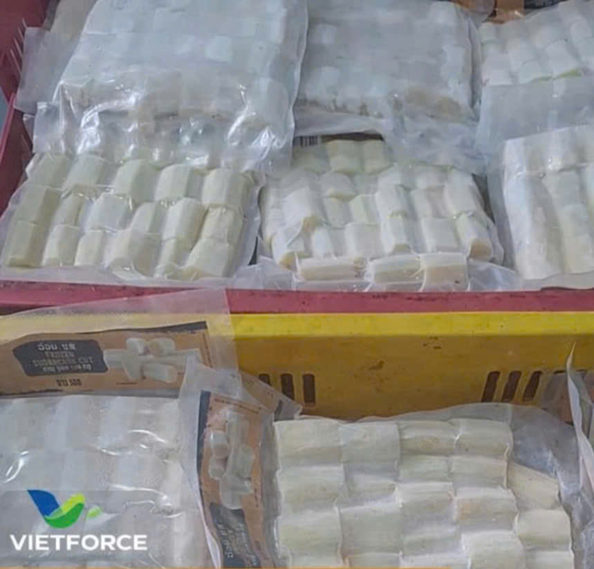 MÍA CẮT KHÚC 3-4CM/ FROZEN CUT SUGARCANE 3–4 CM